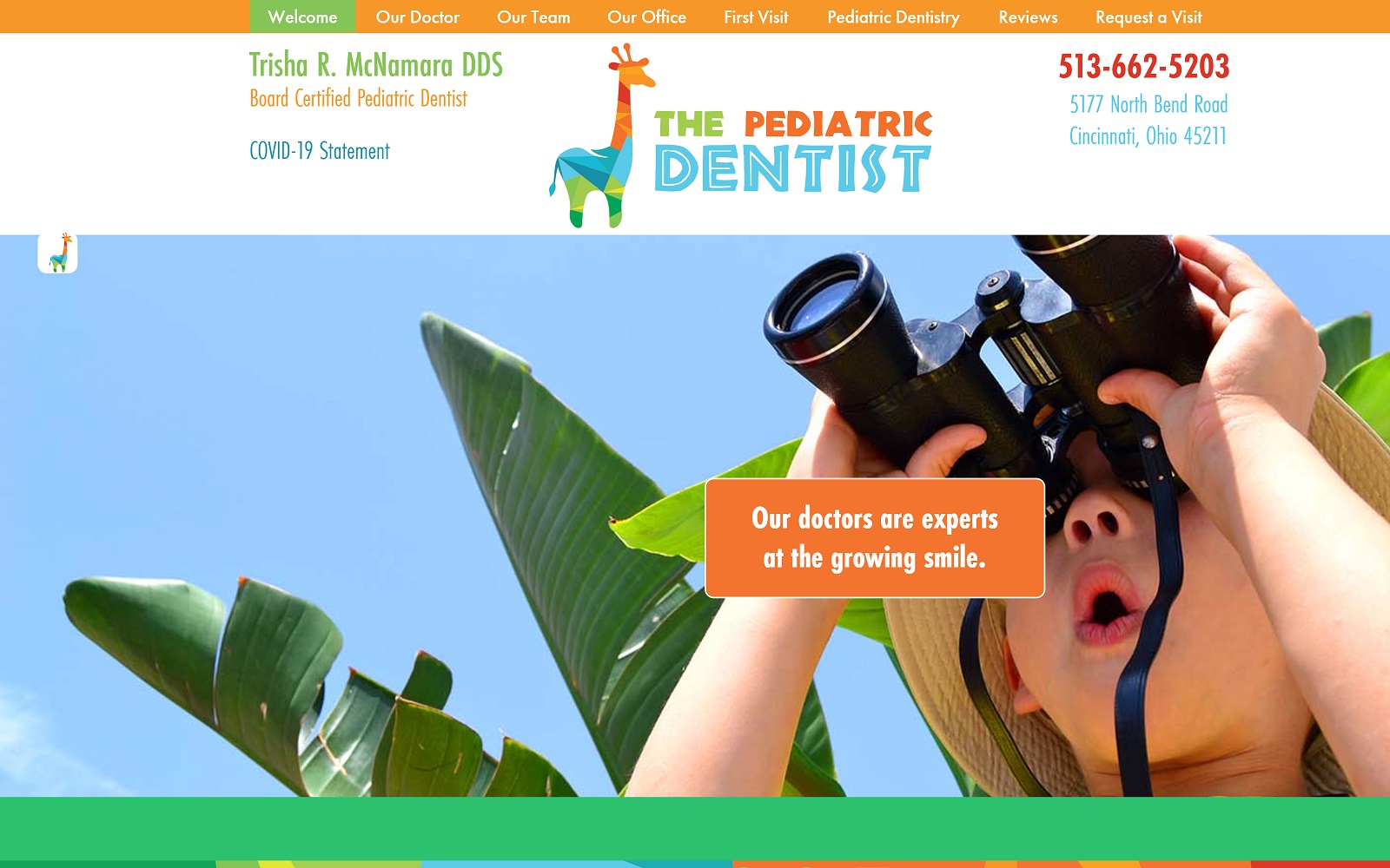 thepediatricdentist.com screenshot