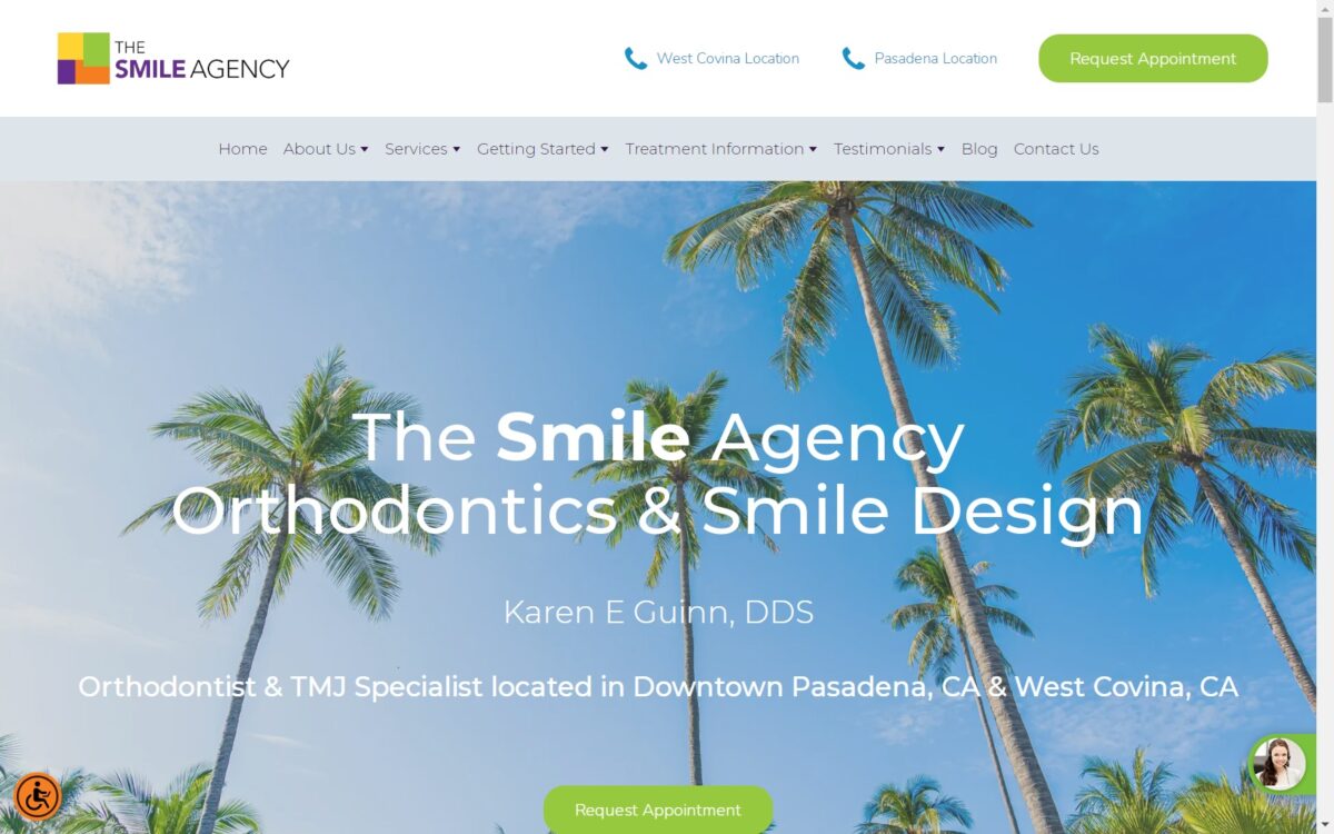 thesmileagency.com screenshot