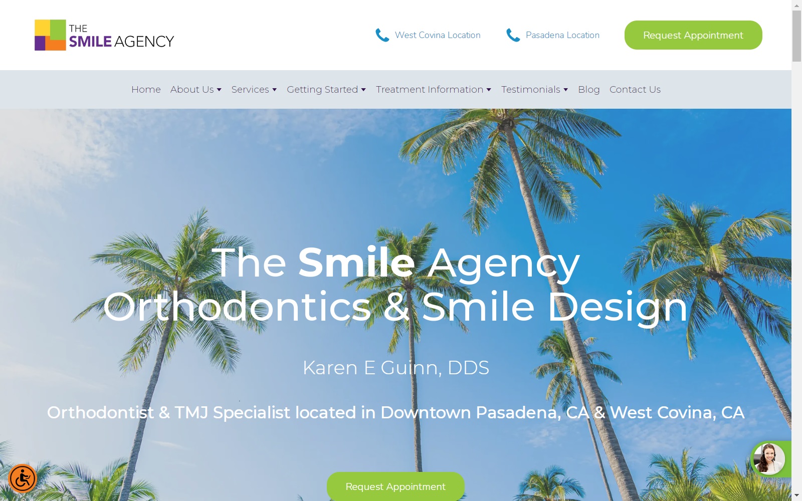 thesmileagency.com screenshot