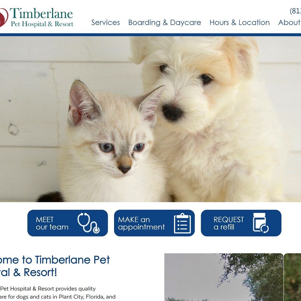 timberlanevet.com screenshot