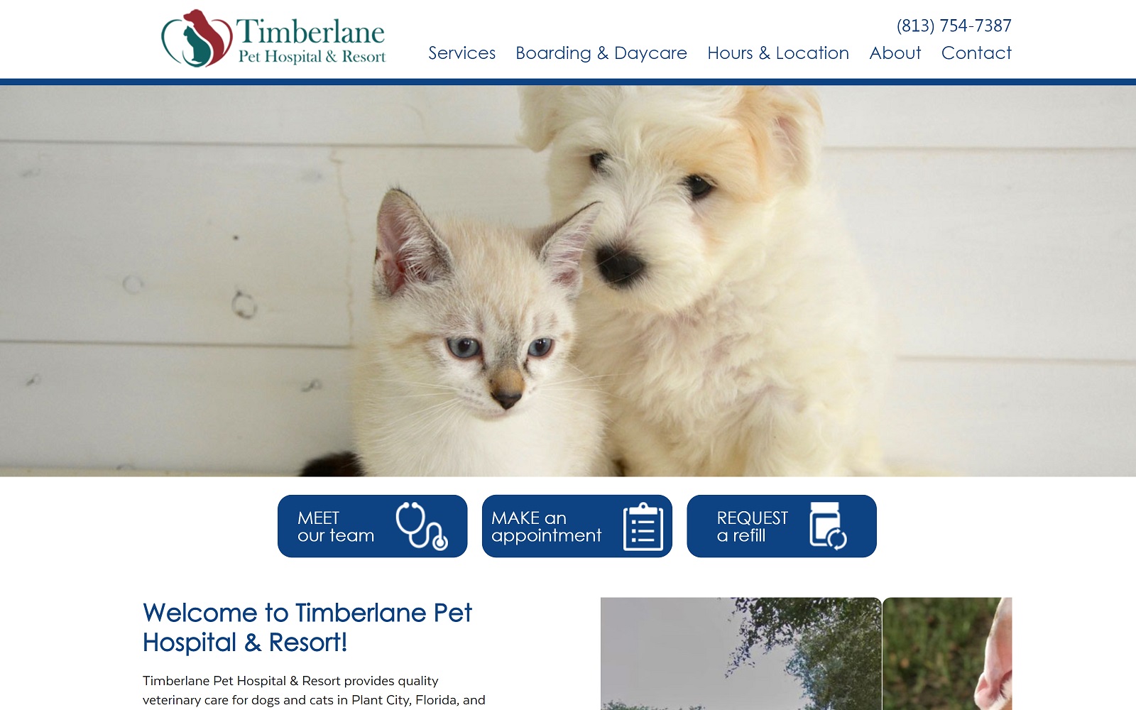 timberlanevet.com screenshot