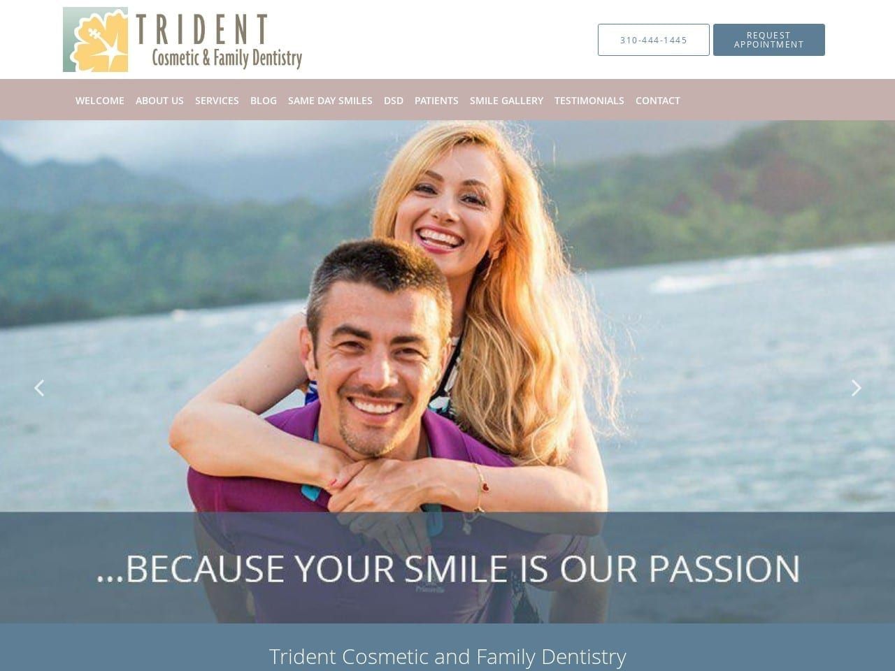 Tri Dent Dentistry Website Screenshot from tridentdentistry.com