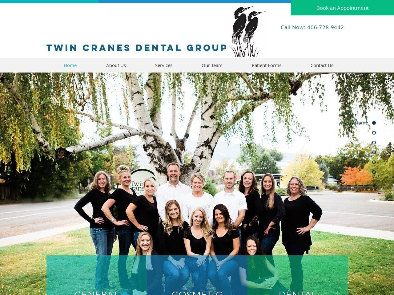 Twin Cranes Dental Group Website Screenshot from twincranesdental.com