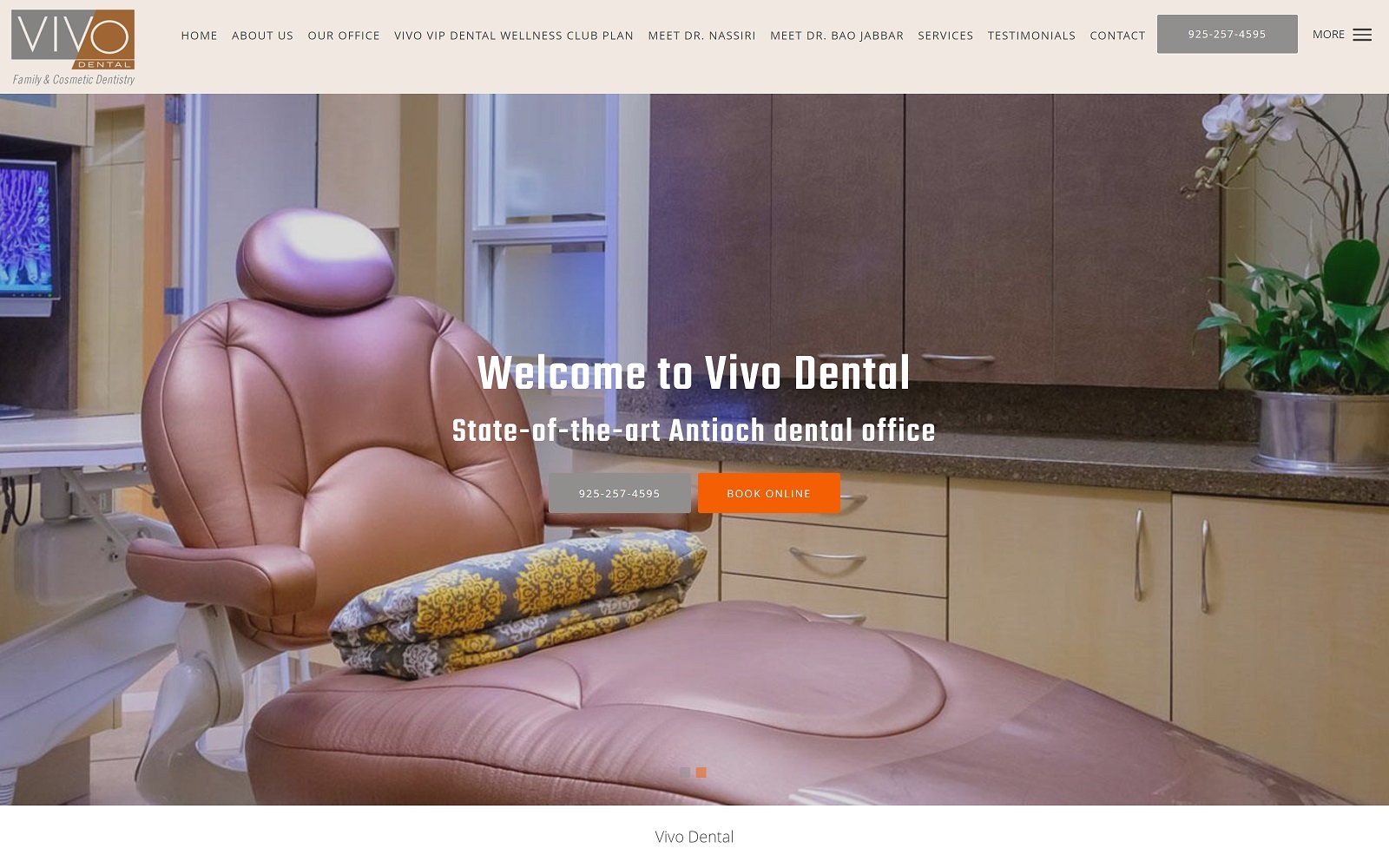 vivodental.com-screenshot