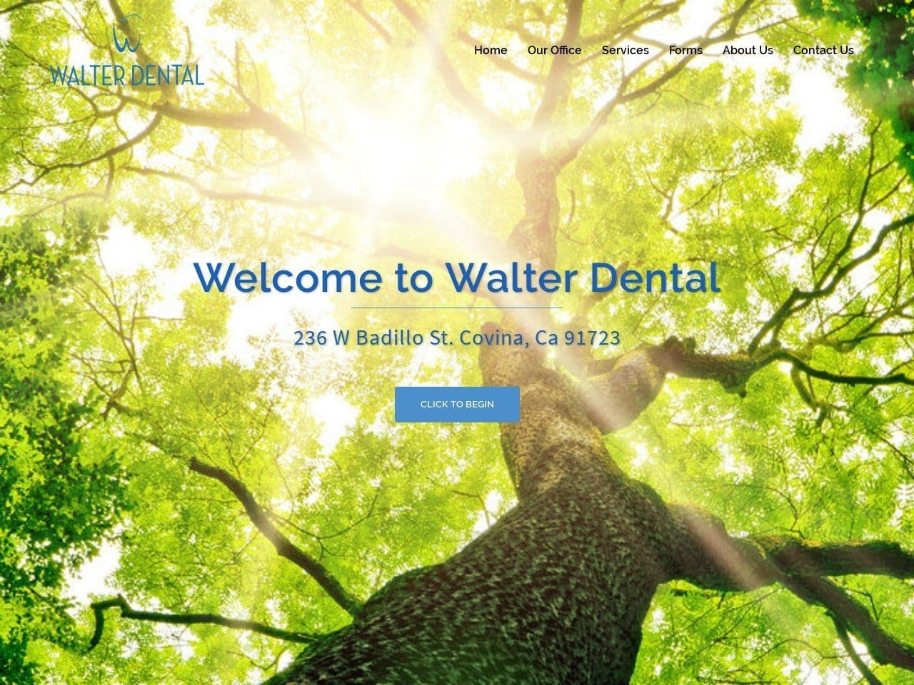 Walter Dental Website Screenshot from walterdental.com