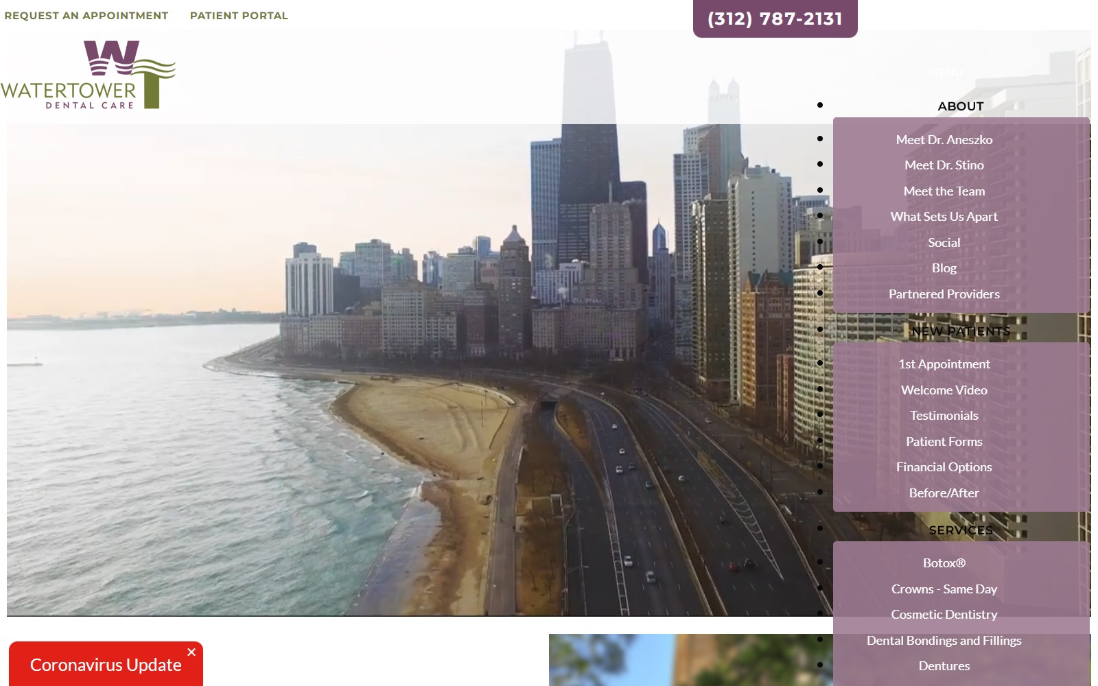 watertowerdentalcare.com screenshot