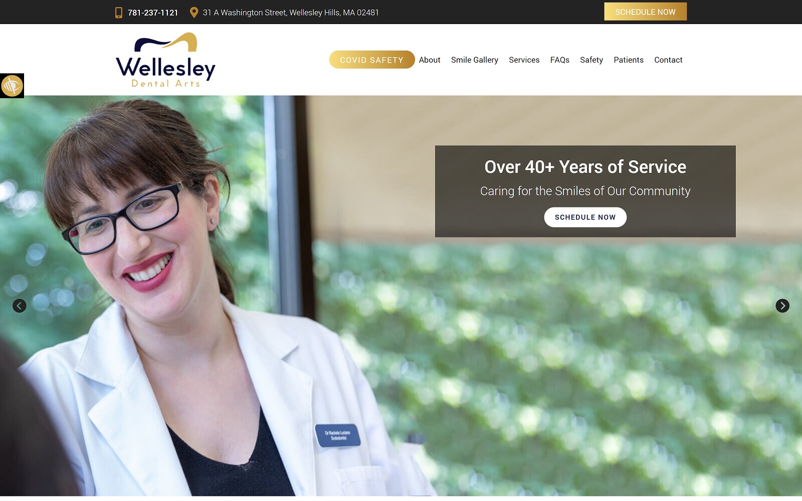 wellesleydentist.com-screenshot