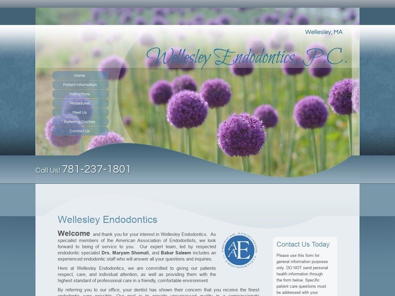 Wellesley Endodontics Shomali Maryam DDS Website Screenshot from wellesleyendo.com