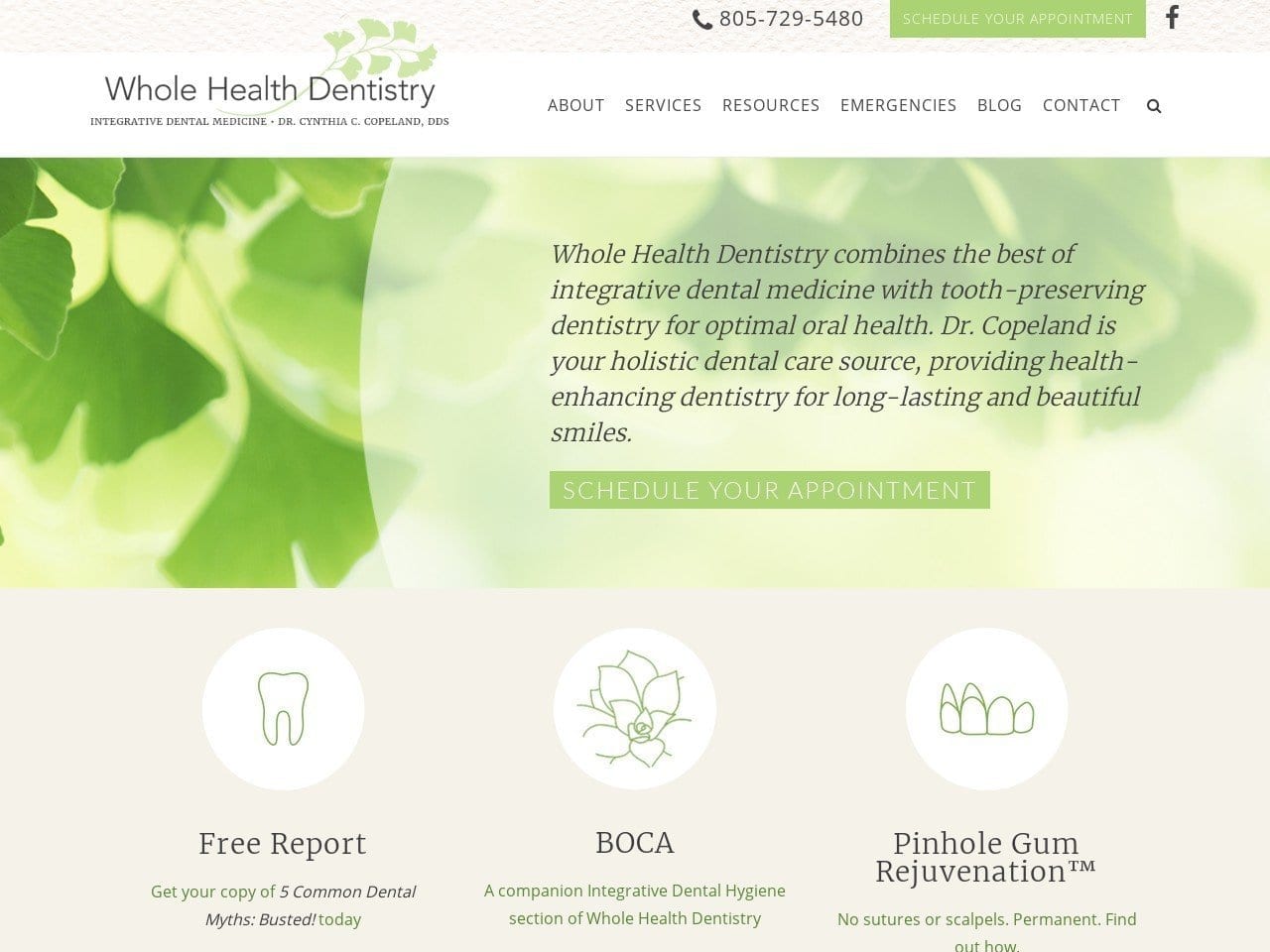 Whole Health Dentist Website Screenshot from wholehealthdds.com