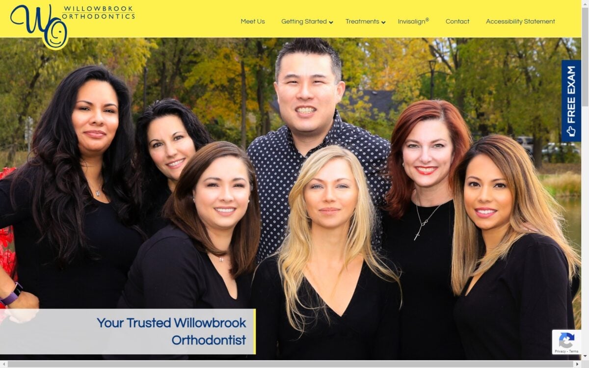 willowbrookorthodontics.com screenshot