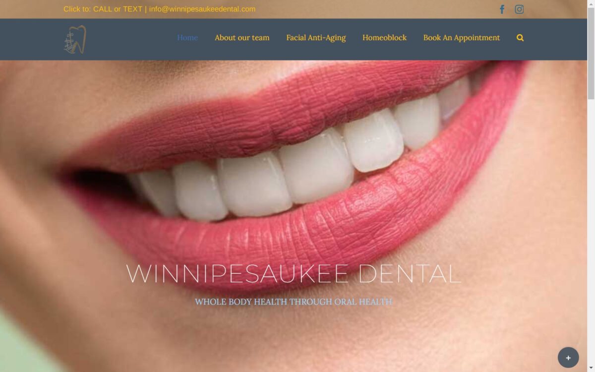 winnipesaukeedental.com screenshot