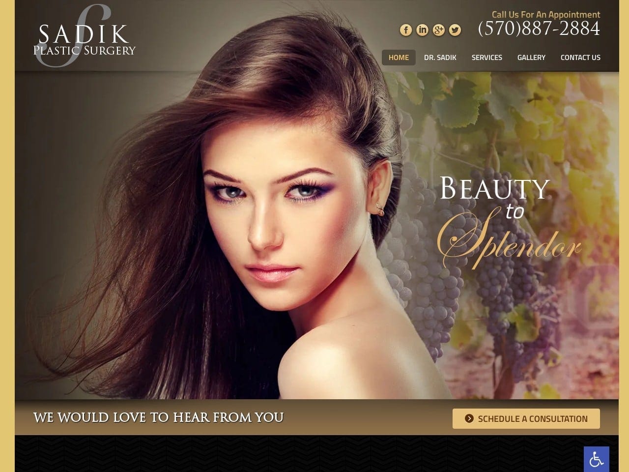 Sadikplasticsurgery Site Screenshot