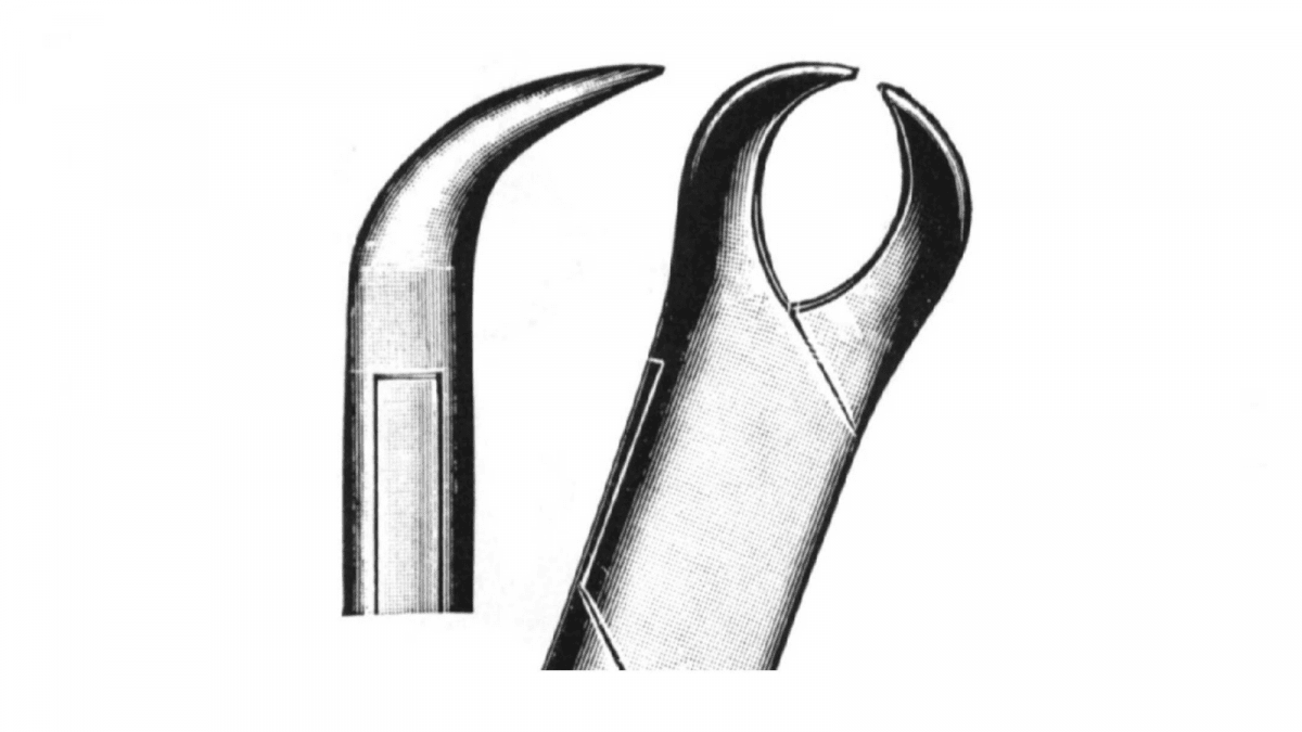 Carl Martin Forceps Cow Horn 409 16