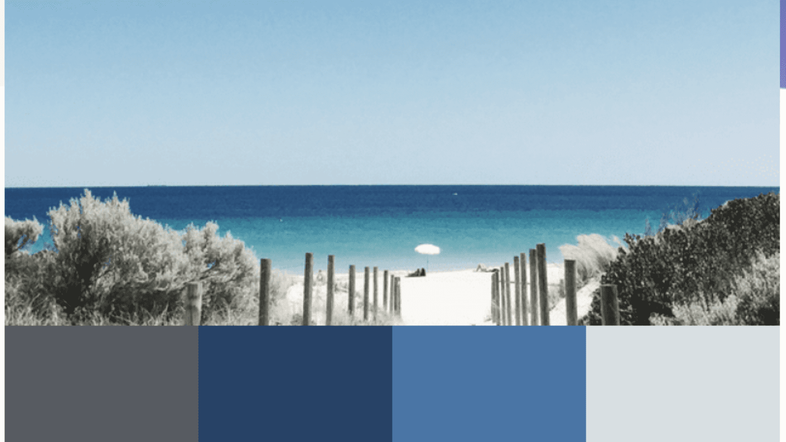 Sandy beach path color palette