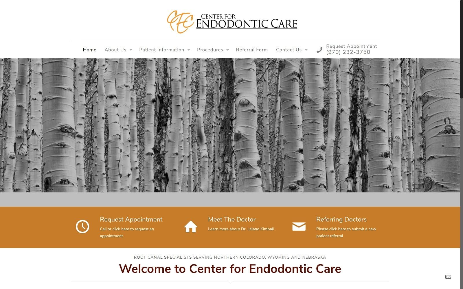 The screenshot of center for endodontic care: leland b kimball dds centerforendocare. Com website