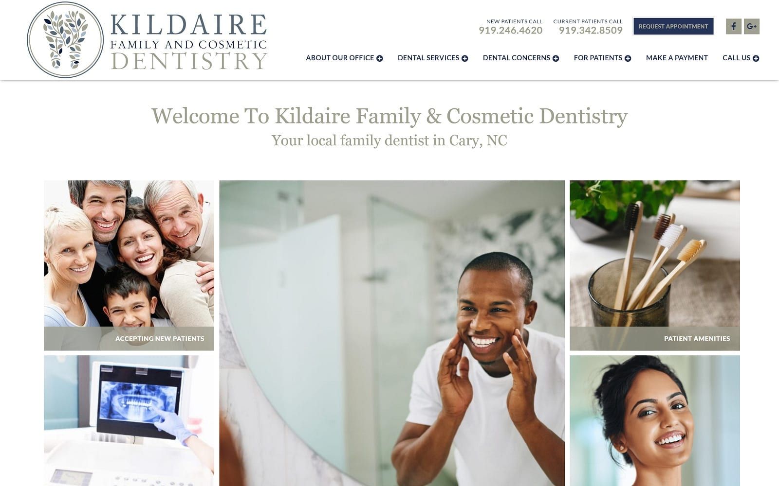 The screenshot of kildaire family & cosmetic dentistry kildairefamilydental. Com dr. Elise brace website