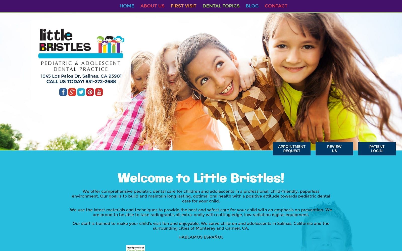 The screenshot of little bristles littlebristlespediatricdentistry. Com website