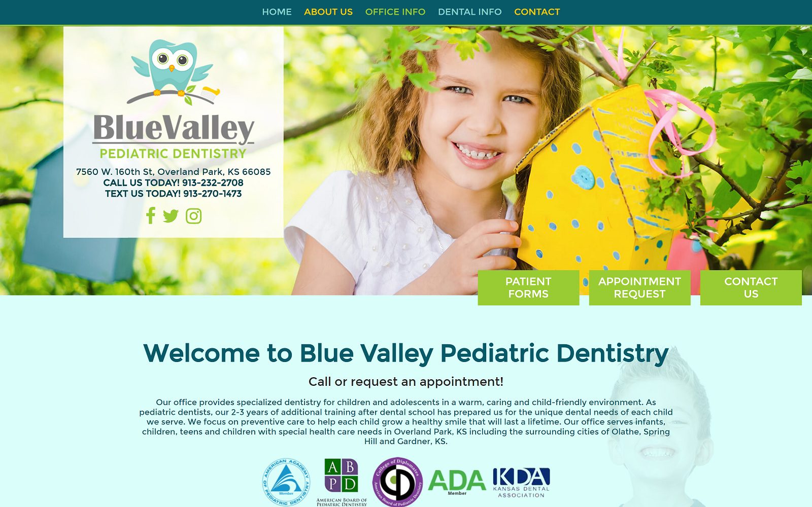 The screenshot of blue valley pediatric dentistry bvkidsdentist. Com website