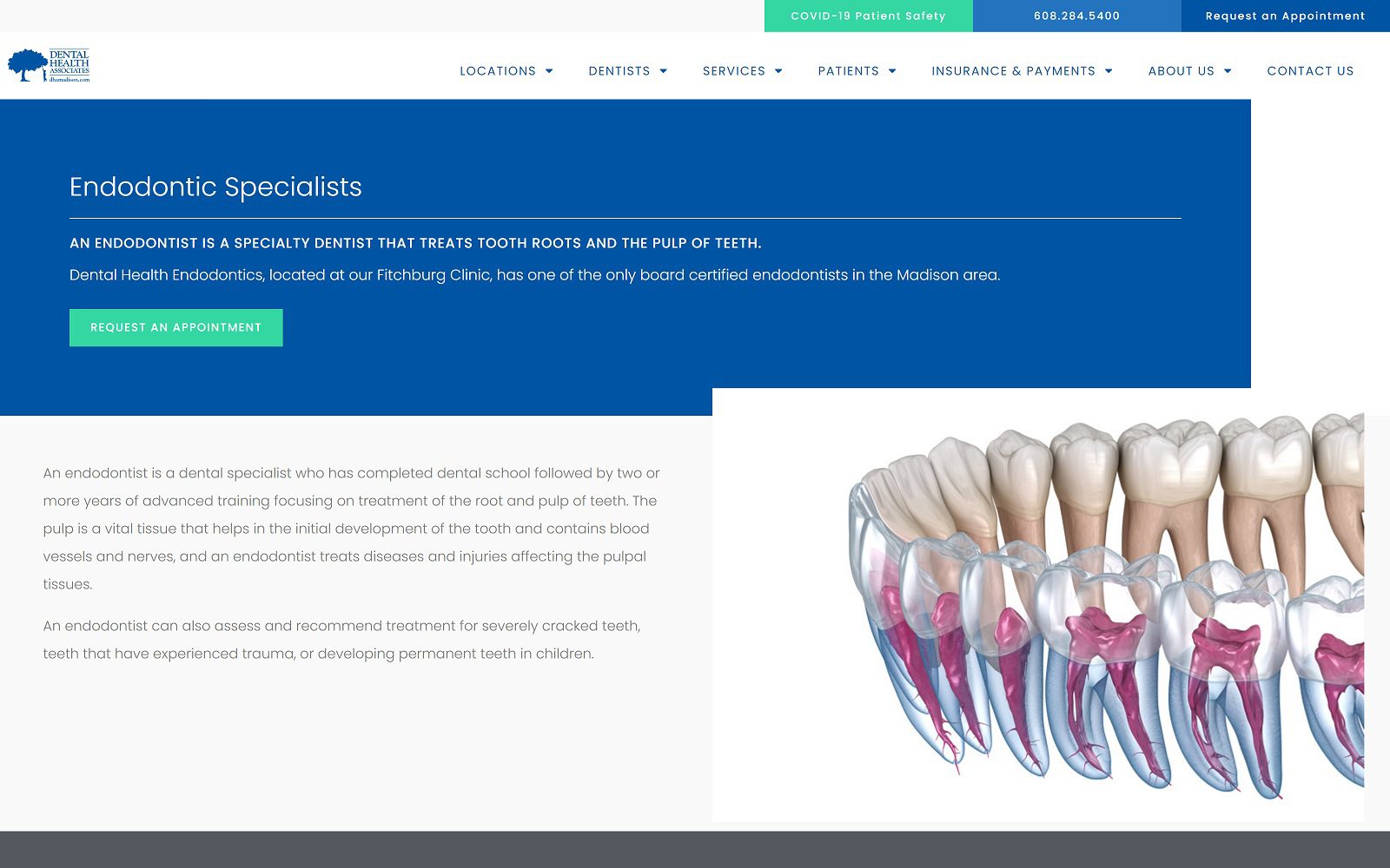 The screenshot of dental health endodontics - fitchburg clinic website