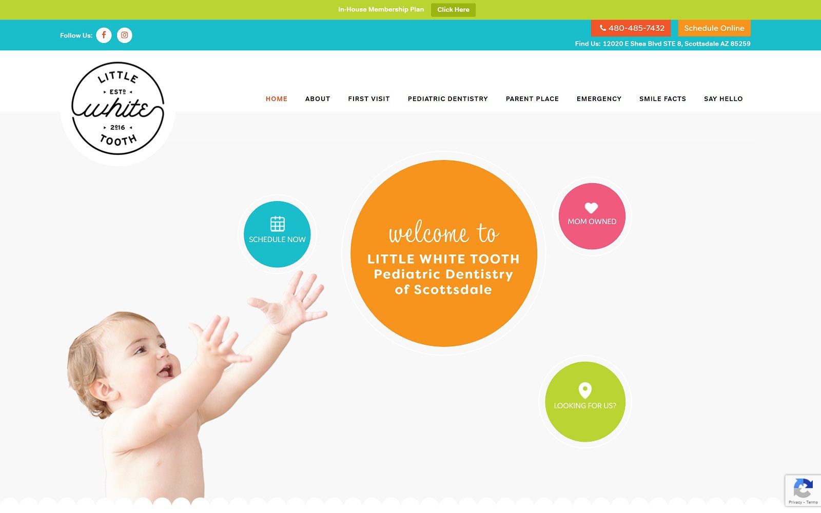 The screenshot of little white tooth pediatric dentistry website