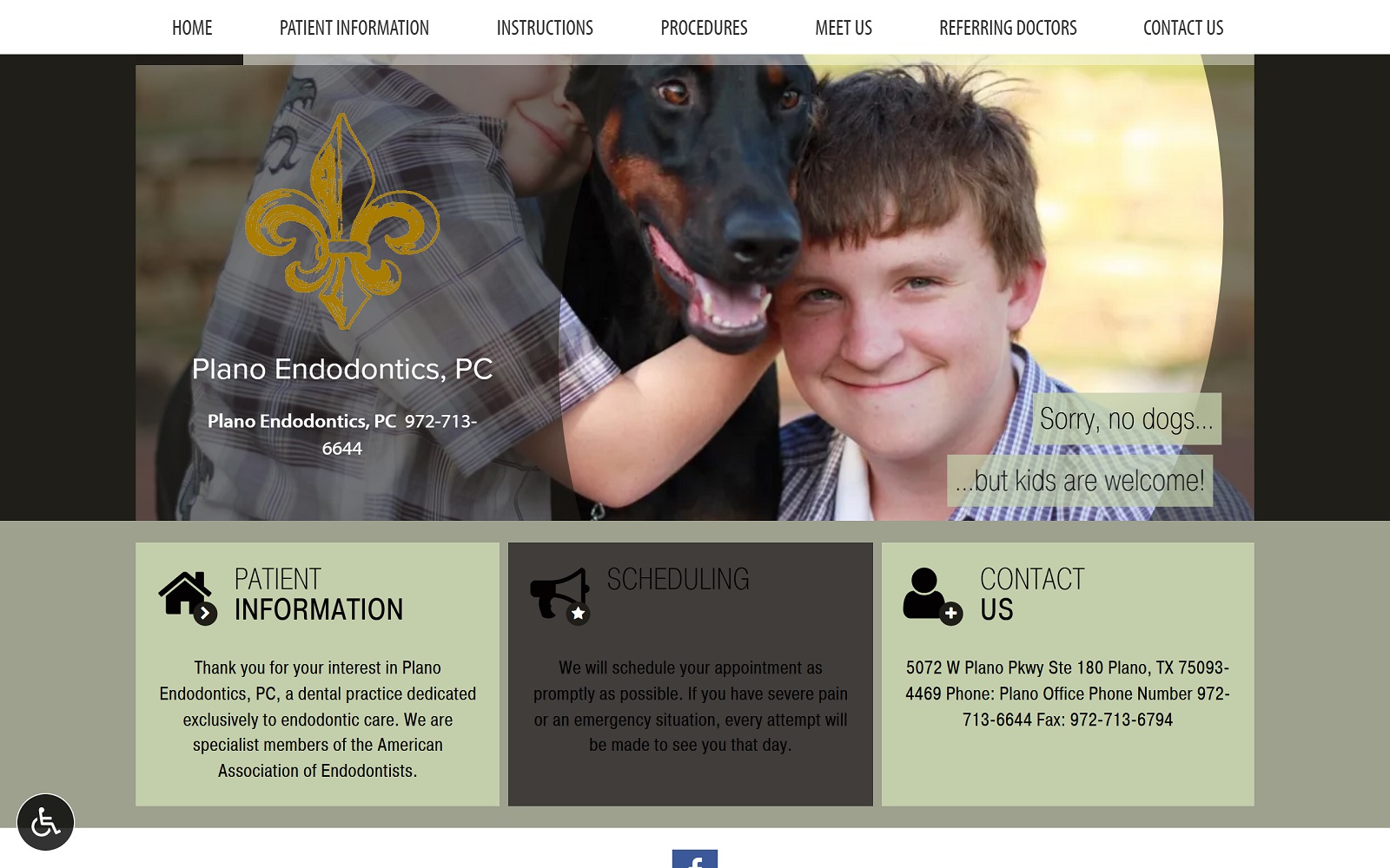 planoendo.com screenshot