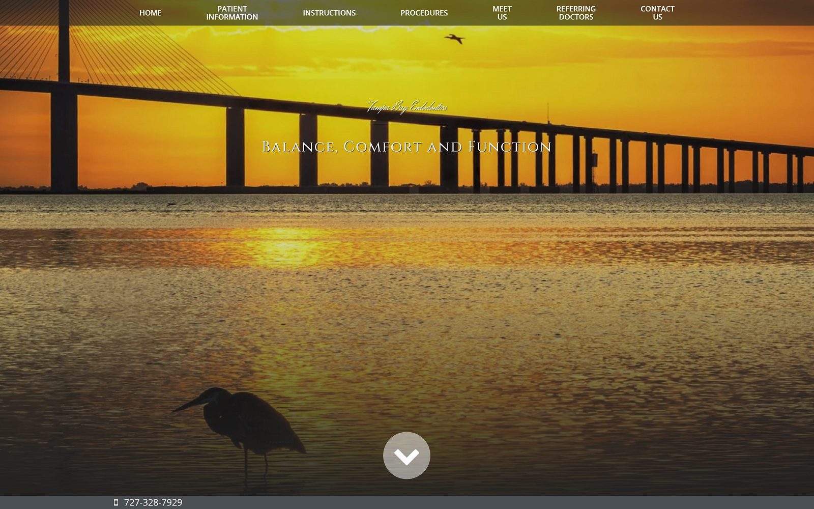 The screenshot of tampa bay endodontics website