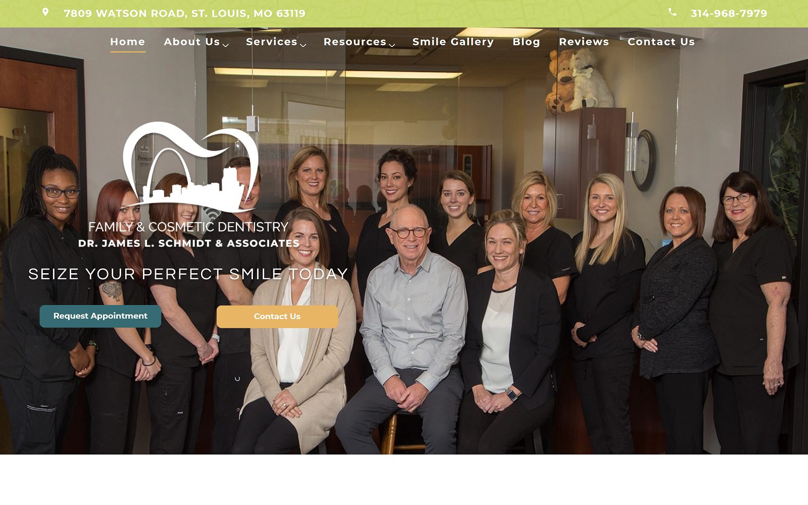 The screenshot of james schmidt, dds, pc website