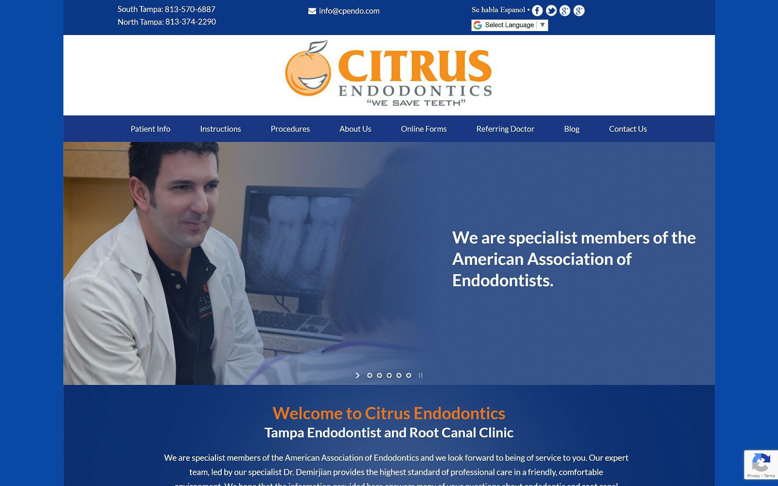 The screenshot of citrus endodontics website