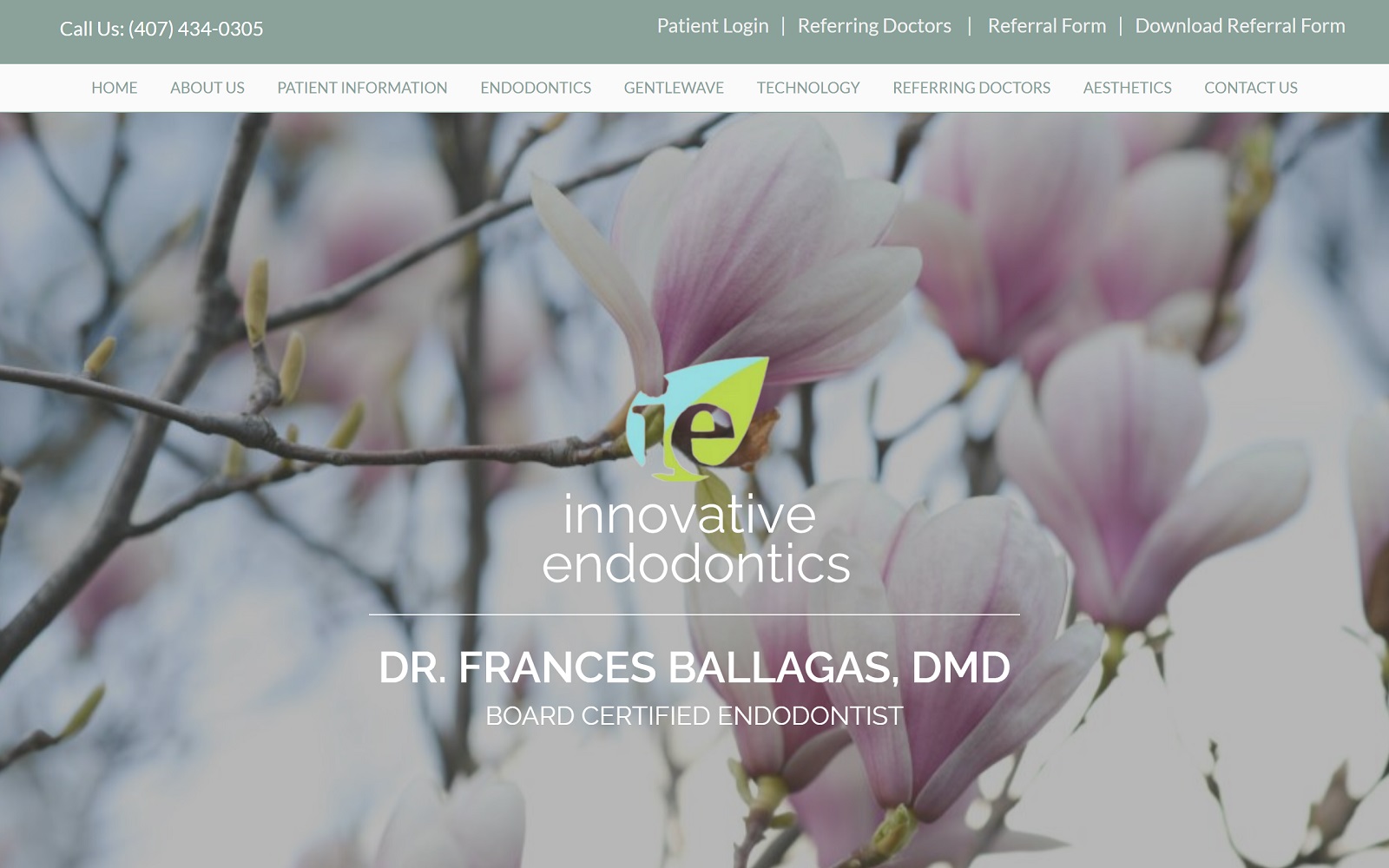 innovative-endo.com screenshot