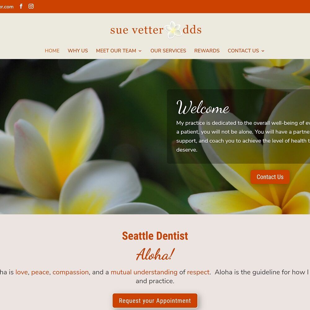 suevetter.com screenshot