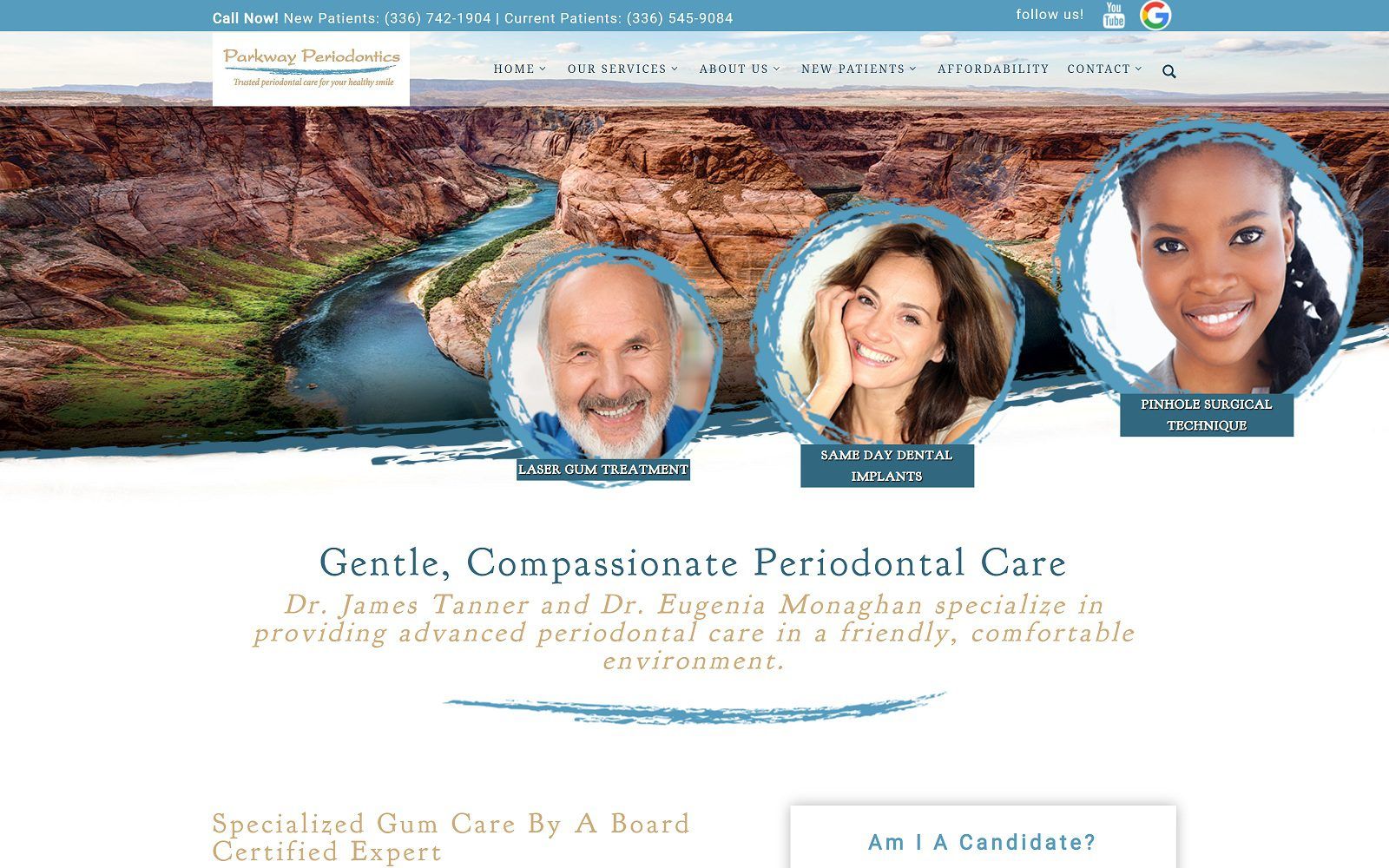 The screenshot of triad healthy gums website