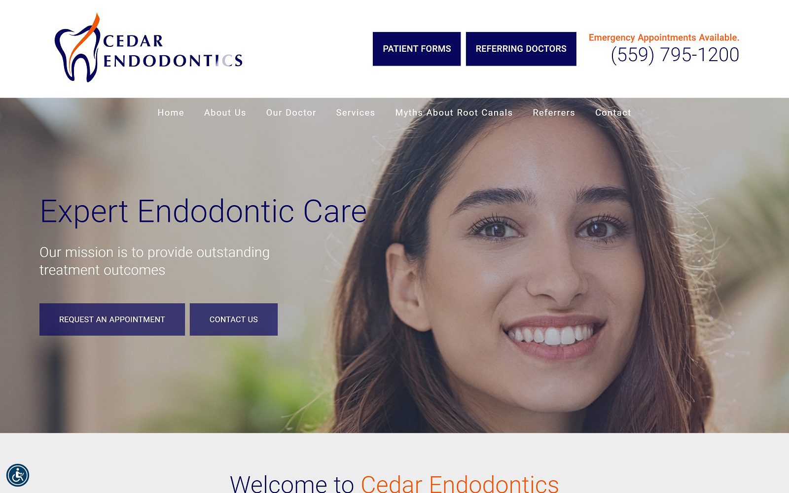 The screenshot of cedar endodontics - kyan salehi, dmd msd website