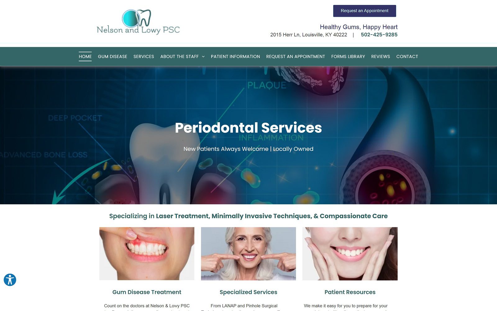 The screenshot of nelson & lowy: lowy douglas dds website