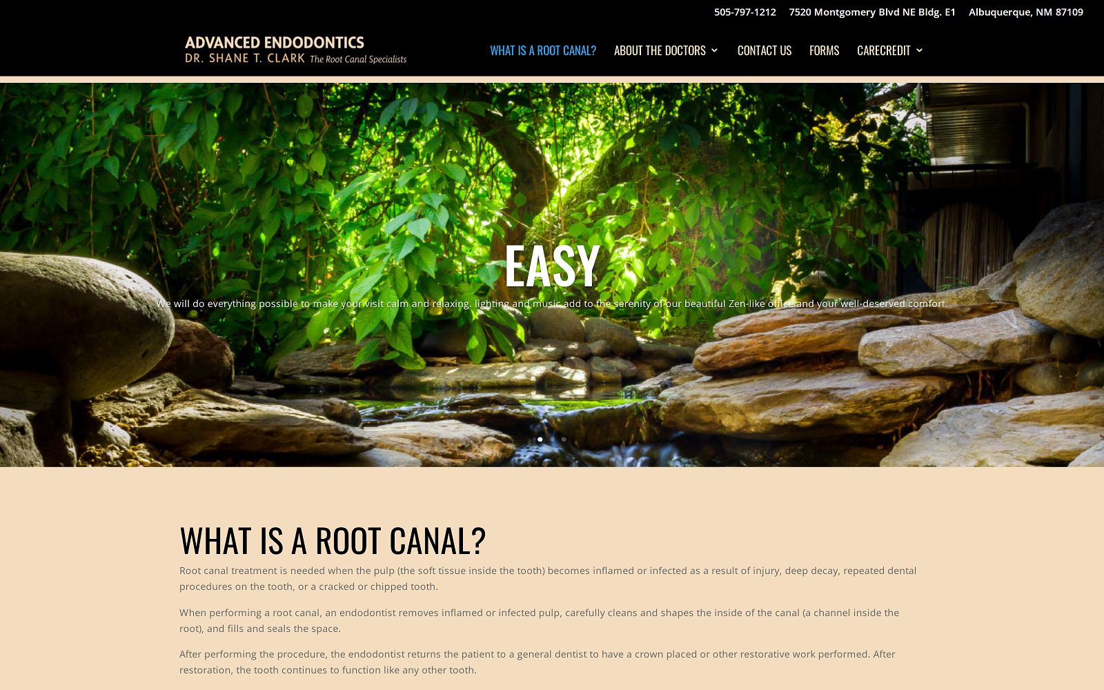 The screenshot of advanced endodontics dr. Shane clark website