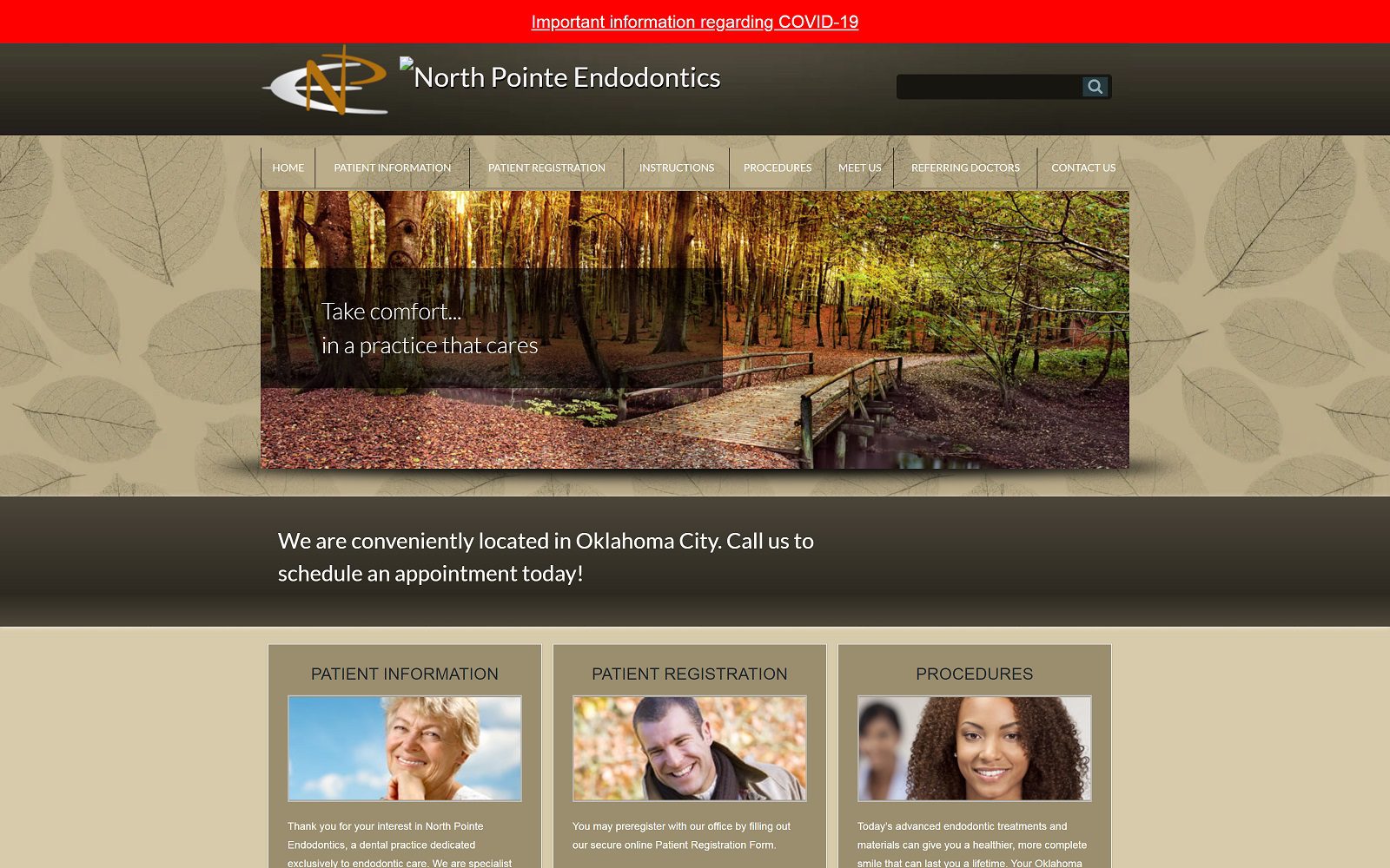 The screenshot of north pointe endodontics website