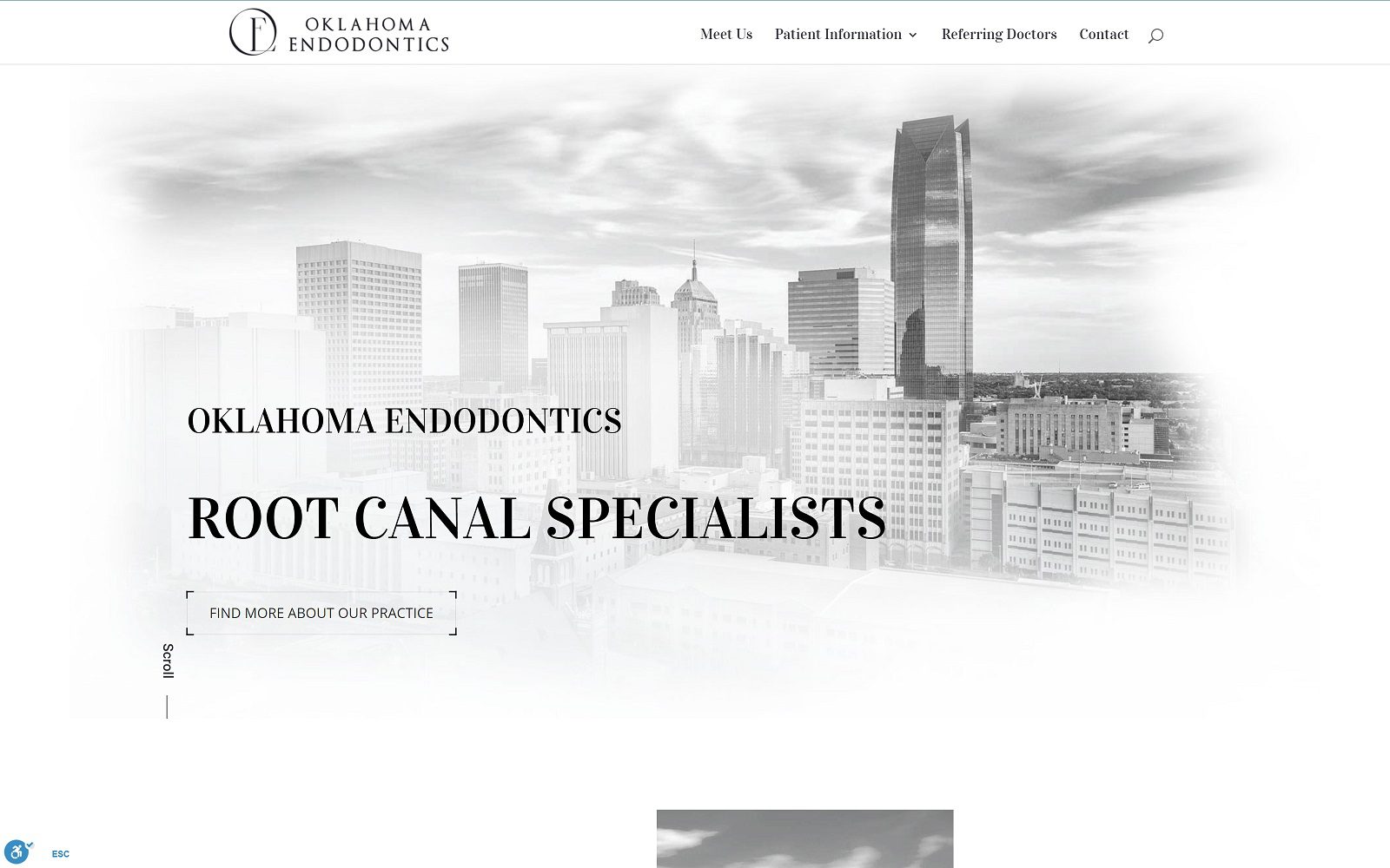 The screenshot of dr. Dennis a. Leseberg, dds website