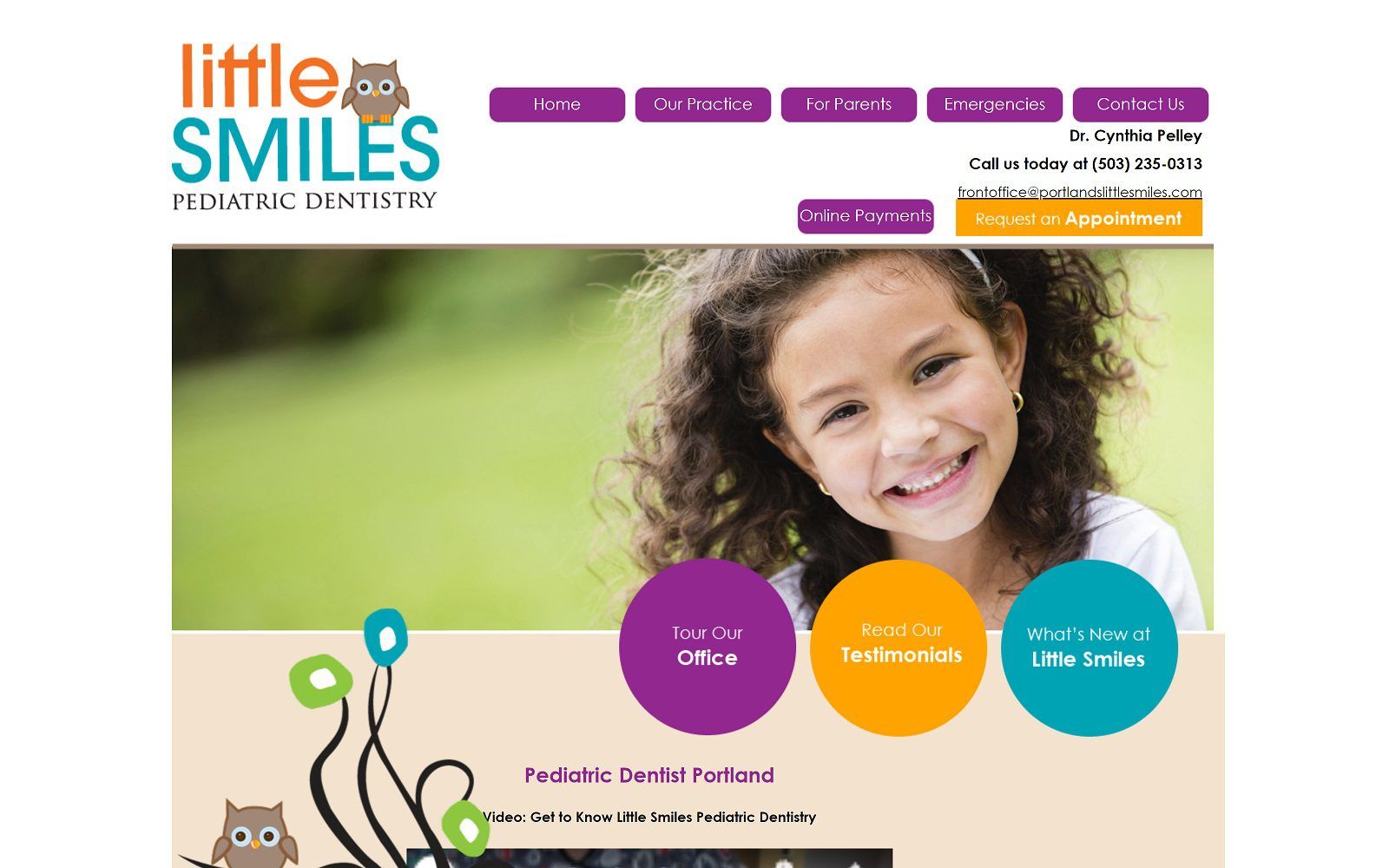 The screenshot of little smiles pediatric dentistry website