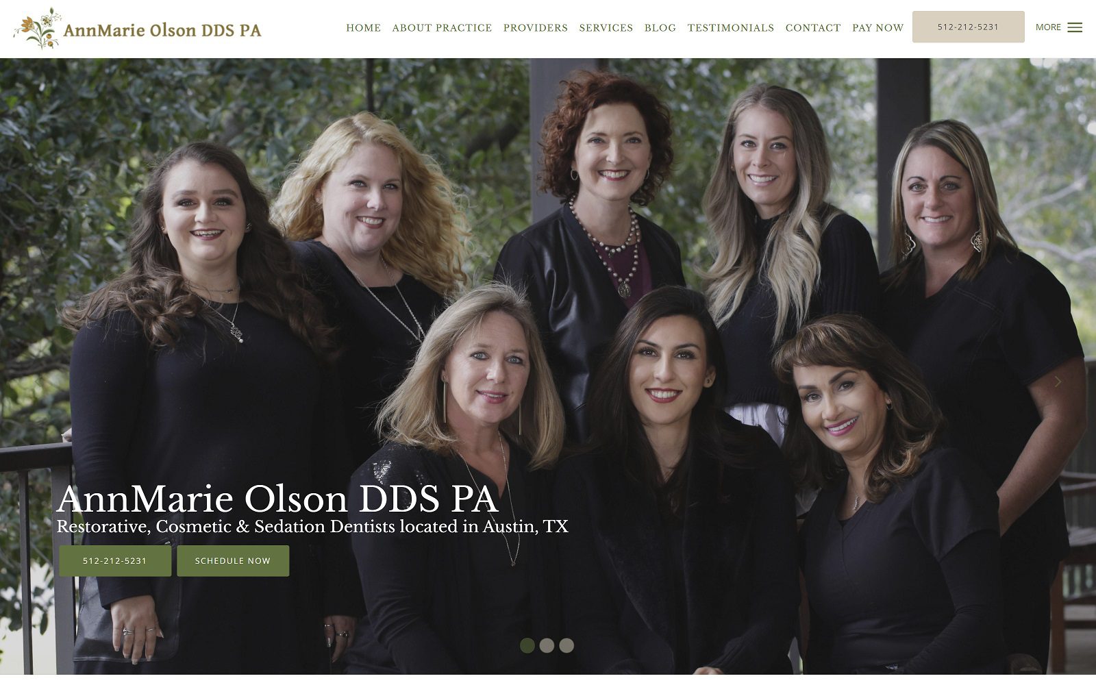 The screenshot of annmarie olson dds pa website