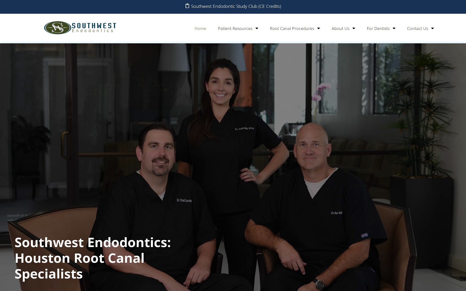 The screenshot of southwest endodontics website