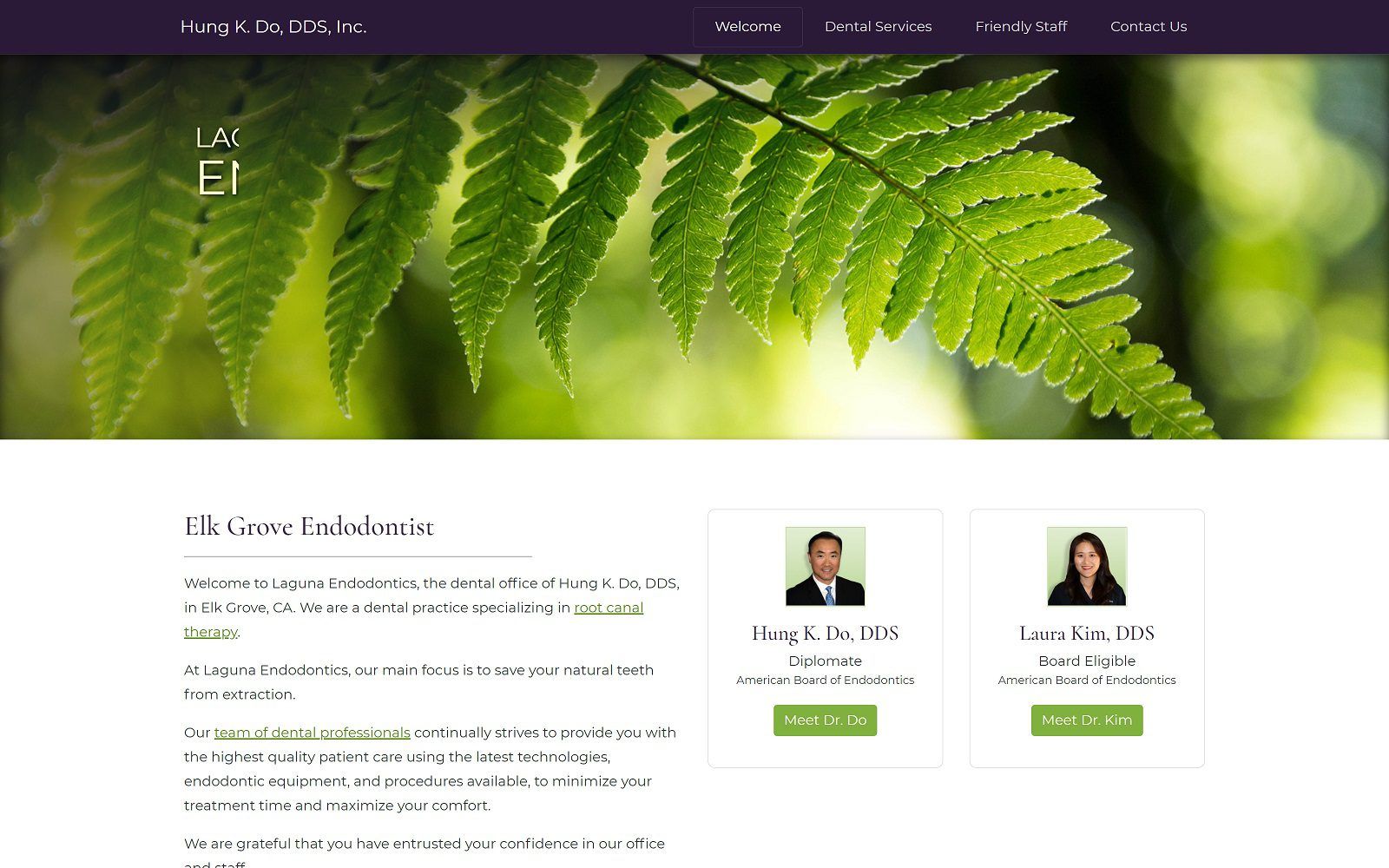 The screenshot of laguna endodontics dr. Hung k. Do website