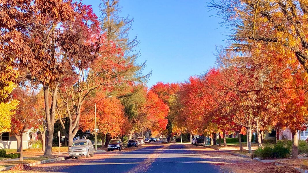 Fall-in-Modesto-CA