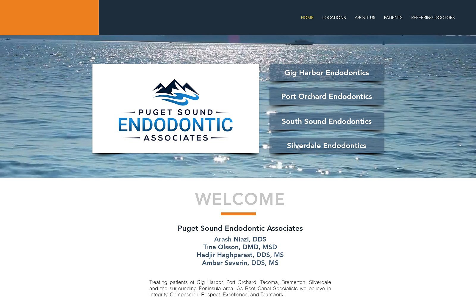 The screenshot of south sound endodontics website