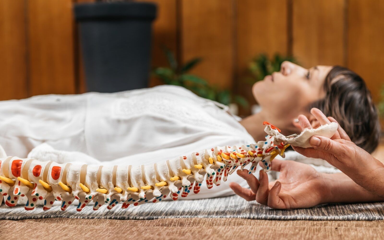 chiropractic-and-osteopathy-patient-education-with-flexible-spine-model