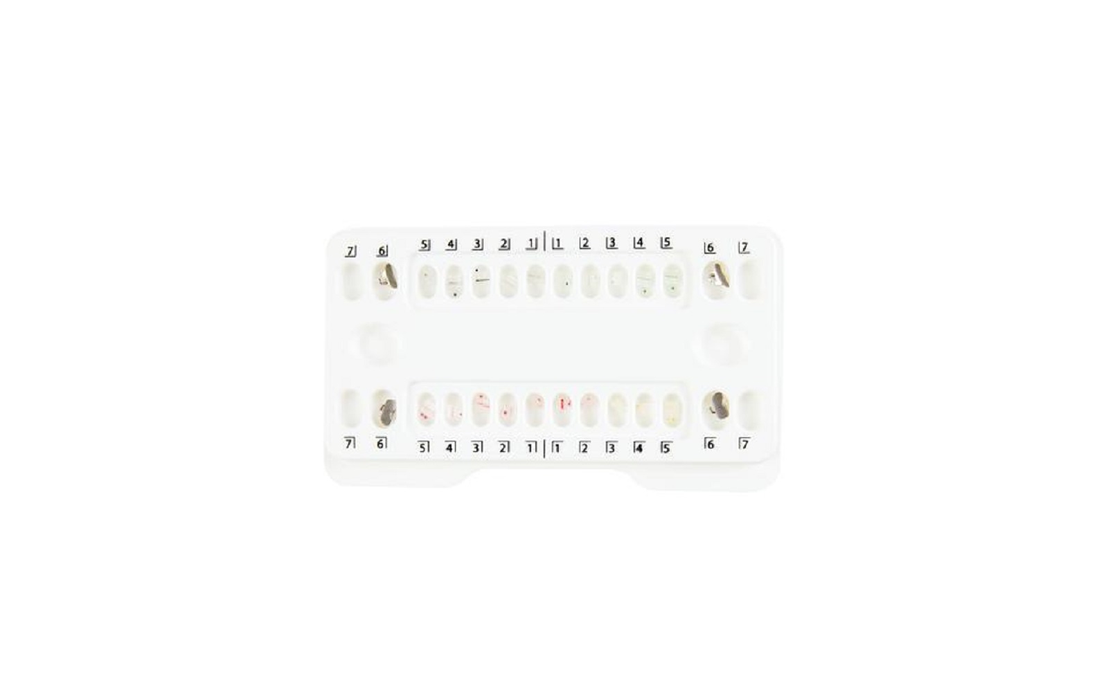 Patterson® mclaughlin, bennett, trevisi ceramic twin brackets 1 patient kits,. 022 - patterson dental supply