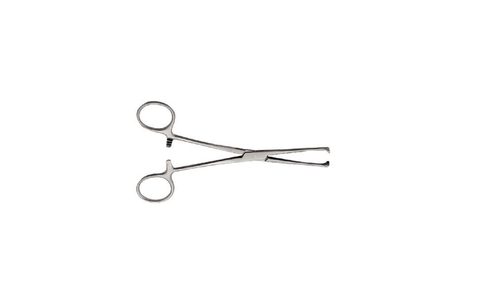 Tissue forceps – 6" 5 x 6 allis, teeth