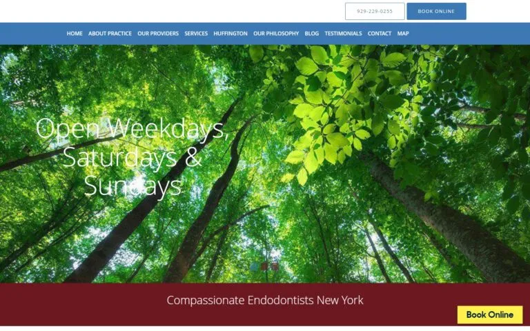 Nycendodontist. Com screenshot