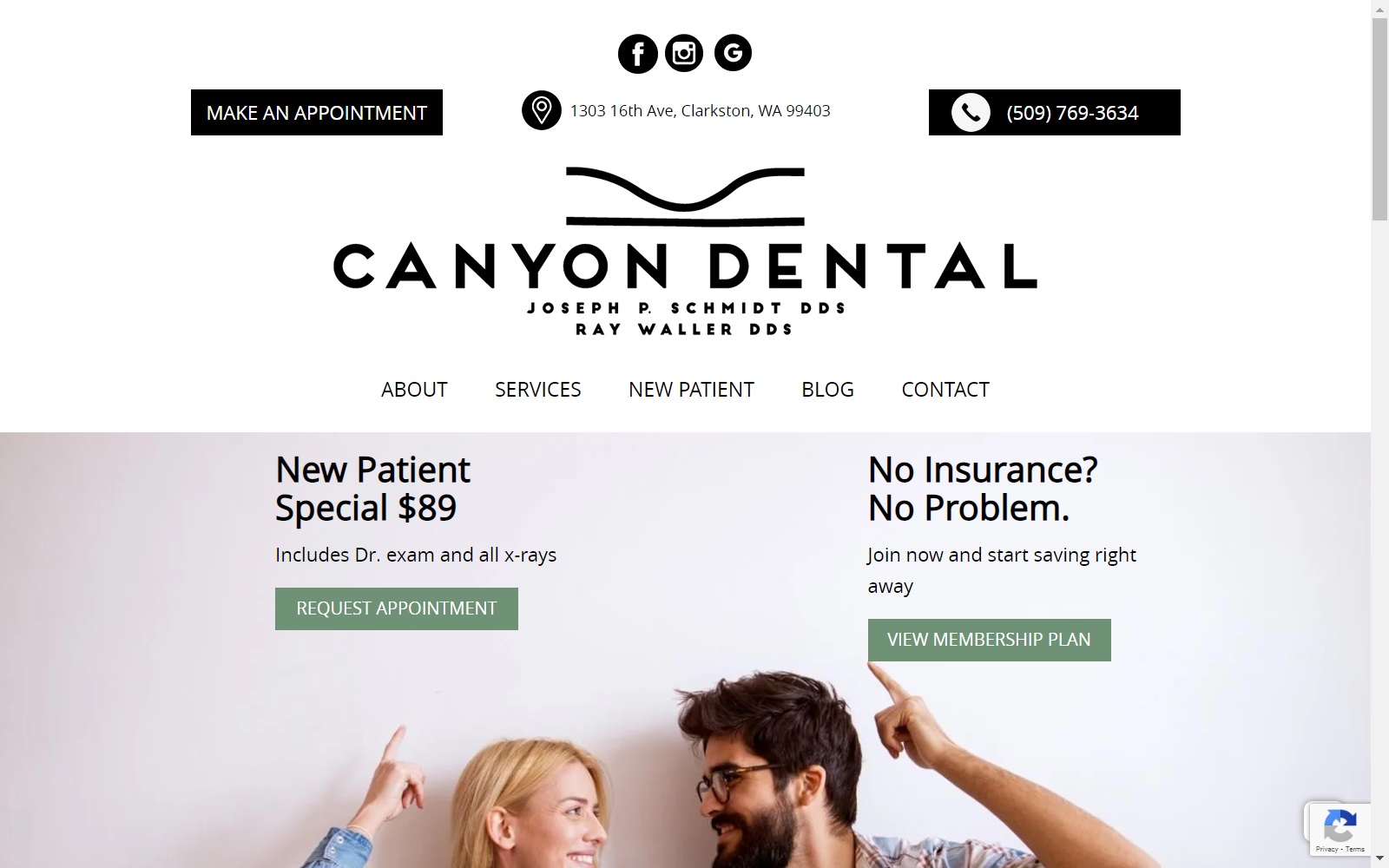 lewistonclarkstondentist.com screenshot