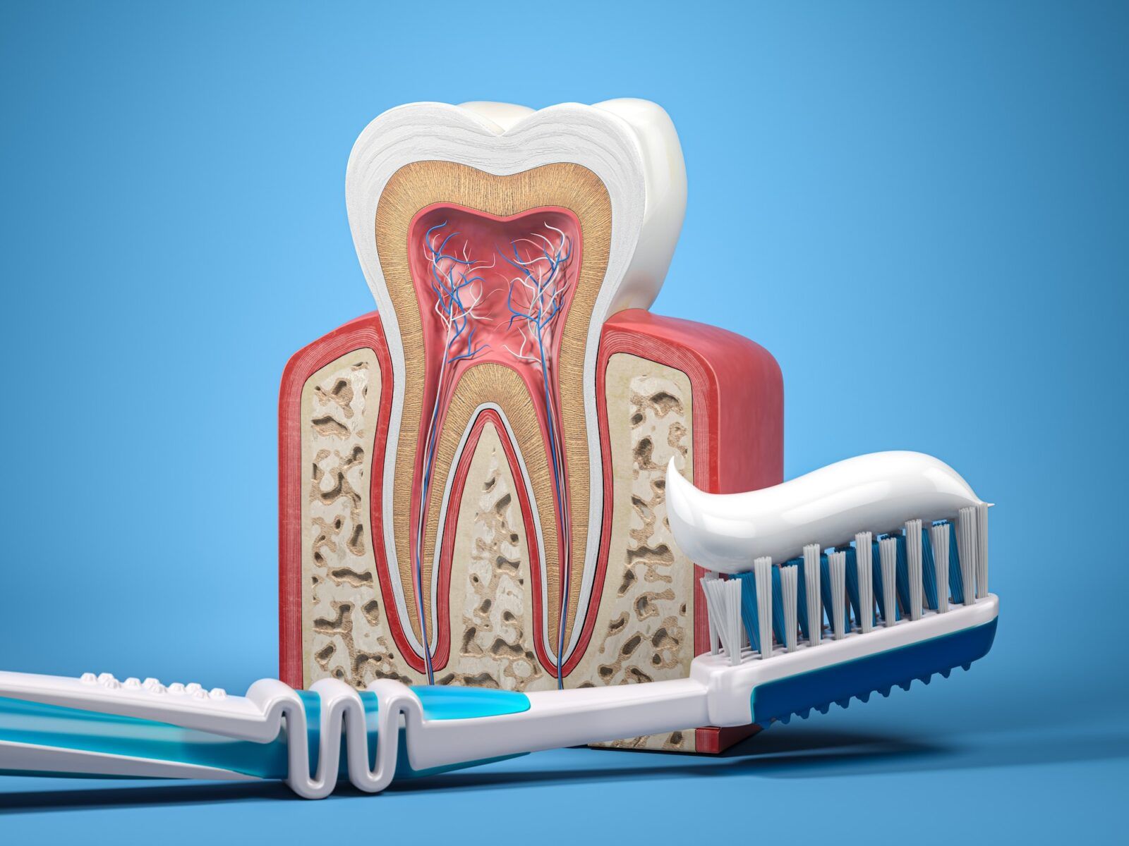 Tooth brush with toothpaste and cross section of human tooth. Dental health and protection concept.