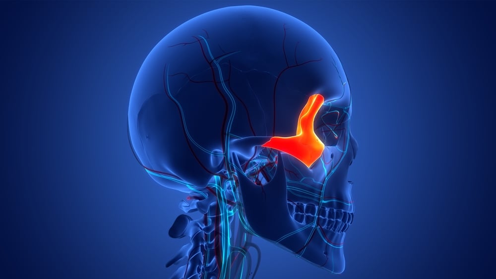 Zygoma bone