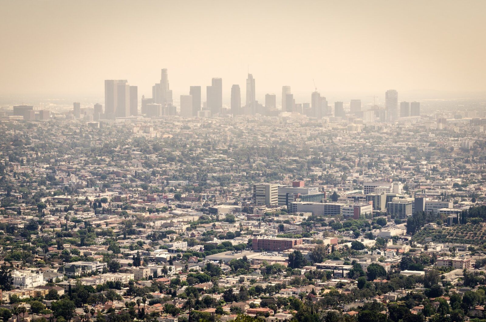 Aerial View of Downtown Los Angeles from Griffith Park
